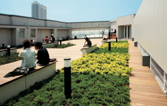 Rooftop garden