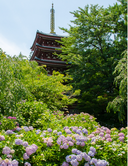 Hondo-ji Temple