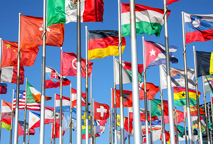 Career Development of Japanese UN Employees