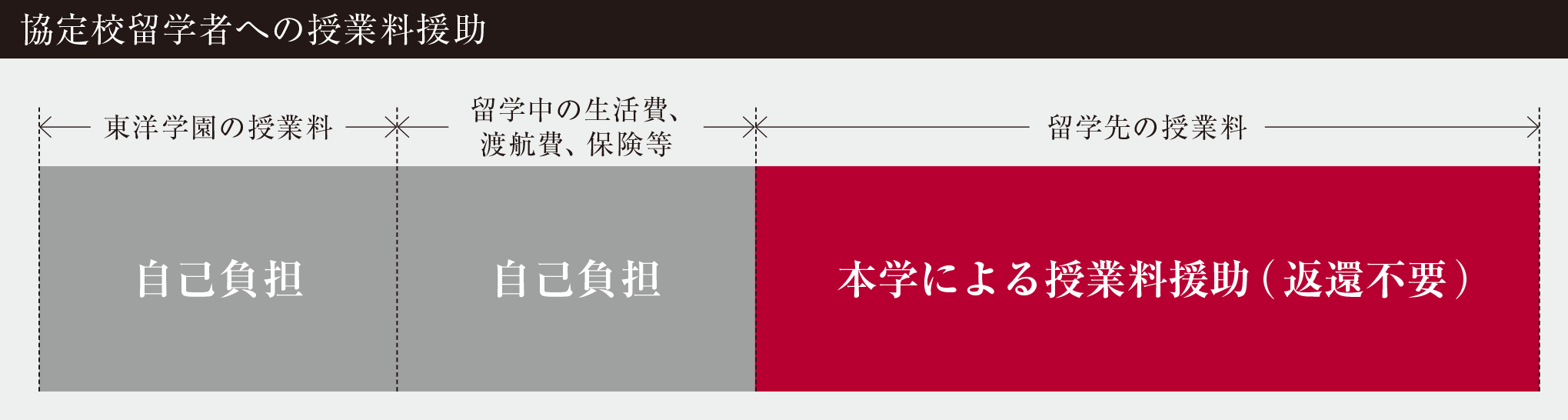 JSAFパートナーシップによるサポート