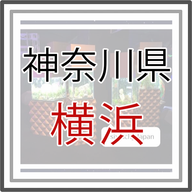 神奈川県横浜