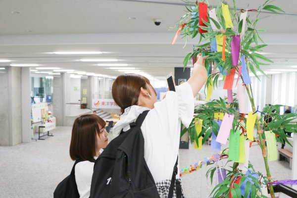 東洋学園大学_七夕