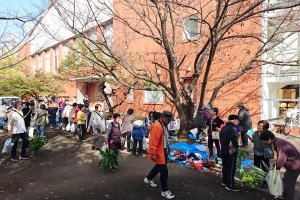 東洋学園大学_「文化祭 in 流山」での1日