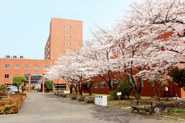 お知らせアーカイブ 東洋学園大学公式サイト お知らせアーカイブ 東洋学園大学公式サイト