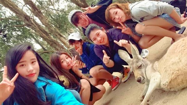 東洋学園大学_2017海外文化演習（オーストラリア）動物園