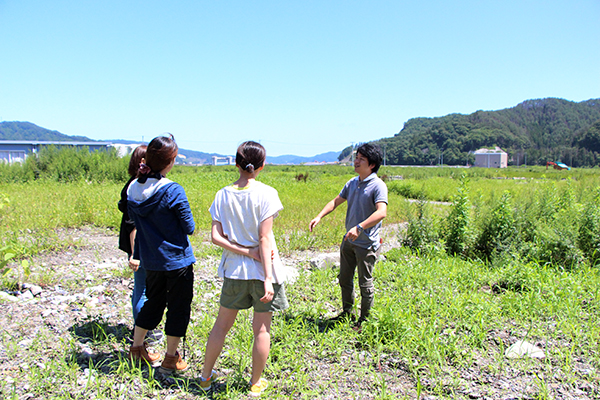 東洋学園大学／大槌大学の模様