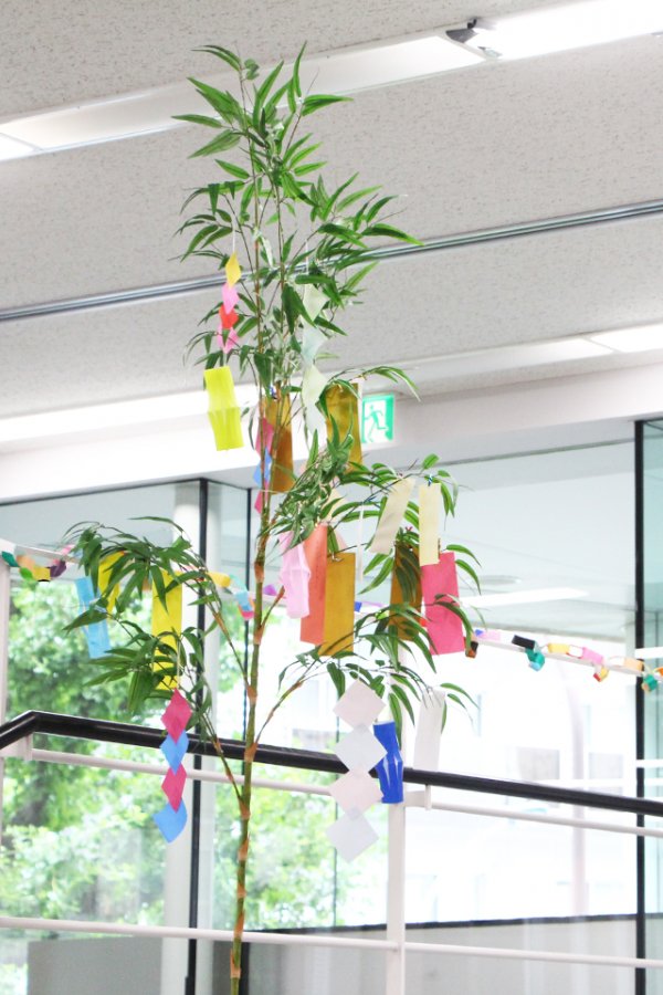 東洋学園大学_七夕