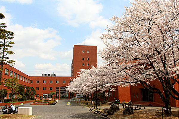 平成26年度_東洋学園大学入学式_桜満開の千葉・流山キャンパス