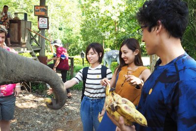東洋学園大学_ラオス研修_エコツアー