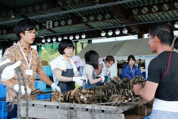 東洋学園大学_大槌大学2014_カキ養殖のお手伝い