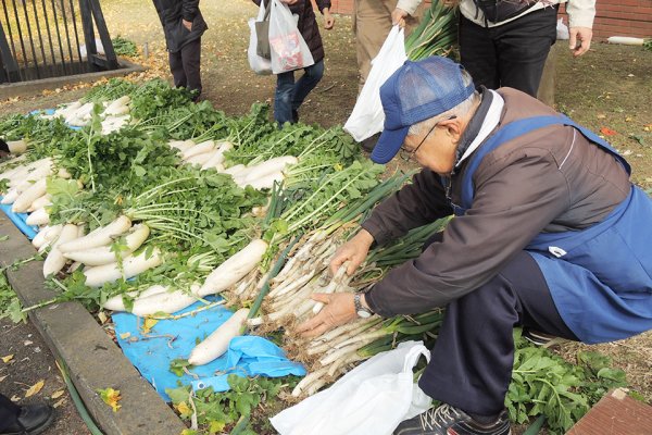 東洋学園大学_文化祭in東洋学園大学_野菜販売