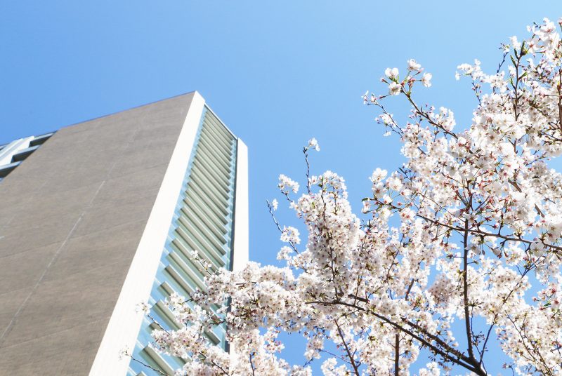 入学される皆さまへ：学長からお祝いのメッセージ、在学生代表から歓迎の辞