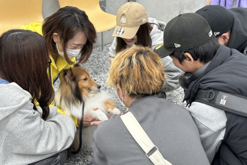 [学生取材]在学生や教職員の心を鷲掴み！10/31(木)ドッグセラピーを実施