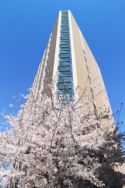 第１号館、２号館３号館に囲まれた中庭
