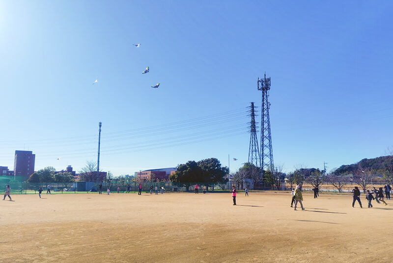 冬の青空にたくさんの凧が舞う。東洋学園大学グラウンドでの「新春凧揚げ大会」