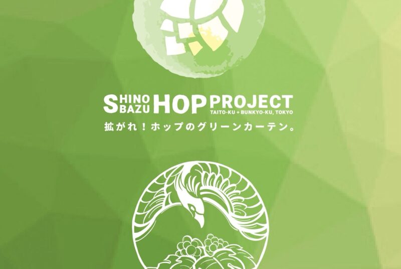 都心のキャンパス屋上でビールの原料となるホップを栽培　野村ゼミが「しのばずホッププロジェクト」と連携