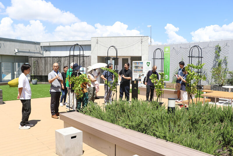 イチゴ栽培や養蜂農家との交流も。進化を続ける野村ゼミ屋上菜園プロジェクト“NIDO”の夏