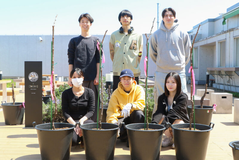 屋上で農作物を育てて商品化!?野村ゼミのユニークなPBL